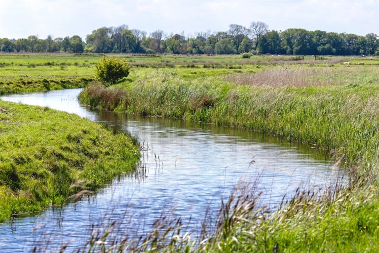Fostering Peer Relationships & Conservation Practices in Nebraska by the Nebraska Conservation Mentorship Network.