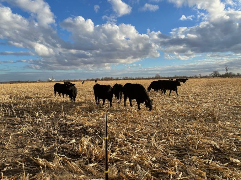 Fostering Peer Relationships & Conservation Practices in Nebraska by the Nebraska Conservation Mentorship Network.