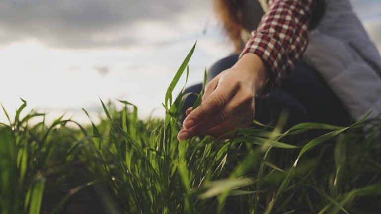 Fostering Peer Relationships & Conservation Practices in Nebraska by the Nebraska Conservation Mentorship Network.