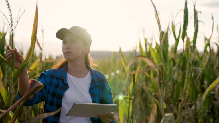 Fostering Peer Relationships & Conservation Practices in Nebraska by the Nebraska Conservation Mentorship Network.
