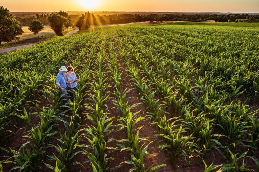 Fostering Peer Relationships & Conservation Practices in Nebraska by the Nebraska Conservation Mentorship Network.